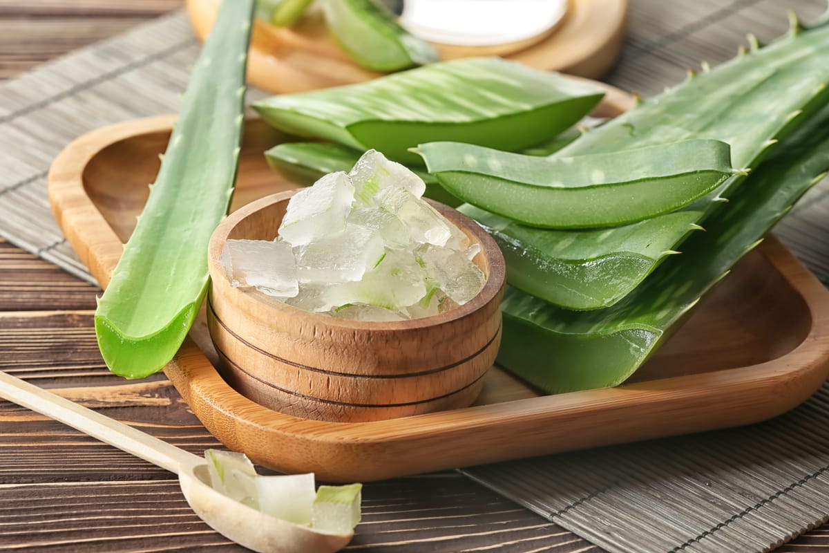 Does Aloe Vera Gel Go Bad? Here's What You Need to Know