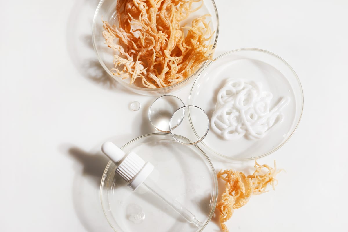 Irish Sea Moss Gel: The Superfood You Need Now