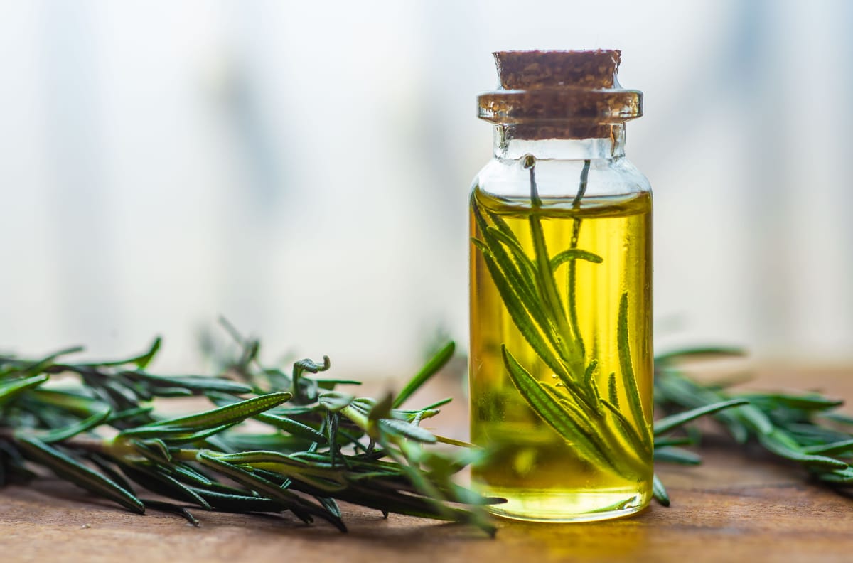 How to Make Rosemary Oil: A Fragrant DIY Project