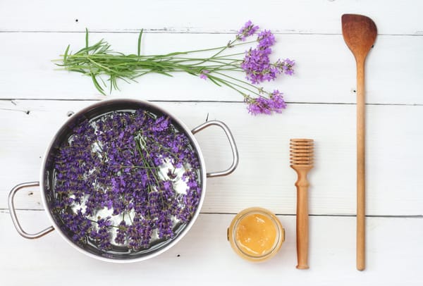 Making homemade organic lavender syrup. Made from fresh aromatic lavender flowers and honey or sugar