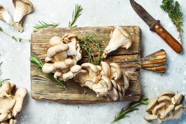 Fresh organic Maitake mushroom on a stone table. Top view.